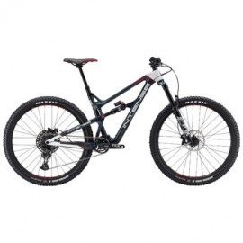 Intense Primer 29er Expert